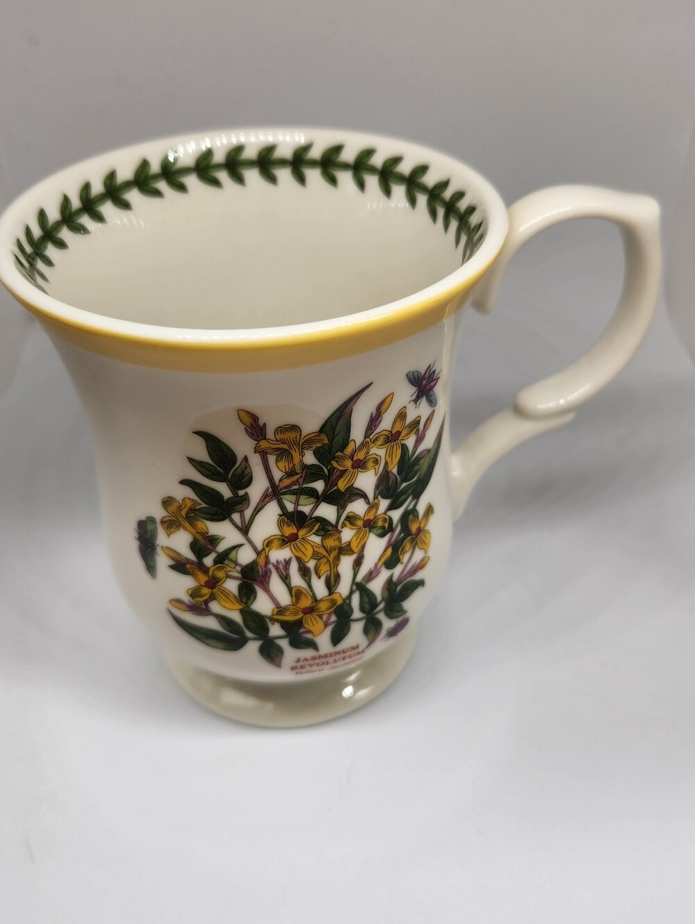 Portmeirion Botanic Garden Terrace Jasminum Revolutum Yellow Floral Mug